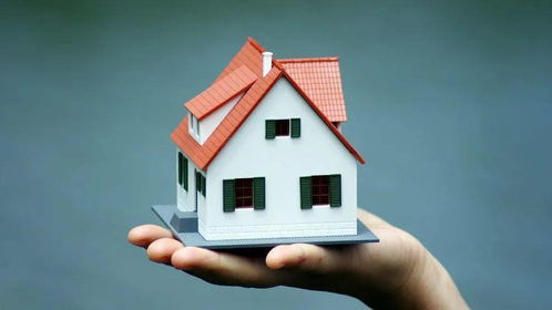 房子改变命运 房子改变命运