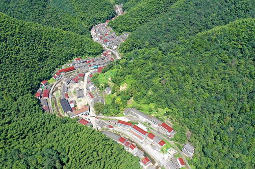 石门村房价 石门村房价