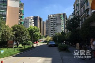 望江东园二手房 望江东园二手房