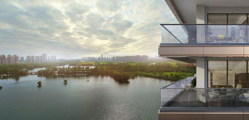 长沙洋湖房子 长沙洋湖房子