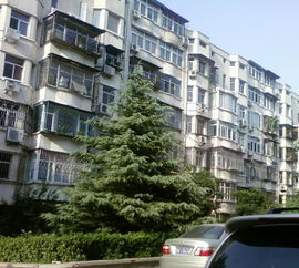 大有北里小区二手房