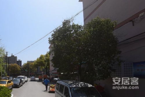 南通虹桥房子 南通虹桥房子