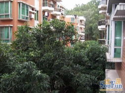 张店碧桂园二手房