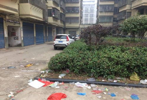 小区物业费不交吗