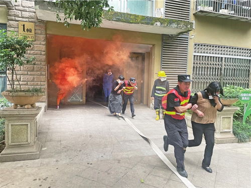 双街物业的电话