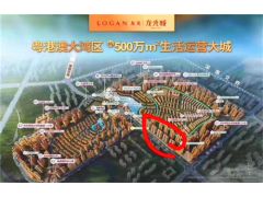 惠州大亚湾龙光城房价