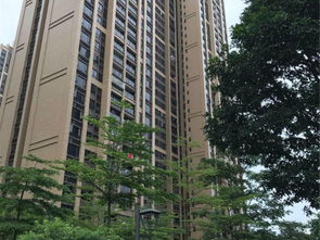 广州星河湾物业