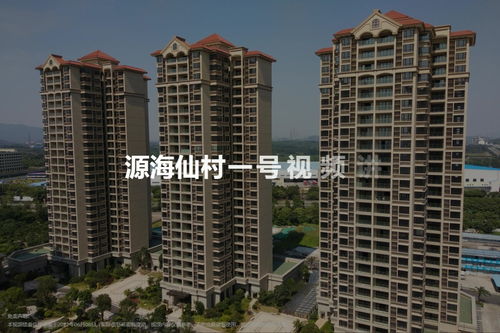 广州仙村楼盘