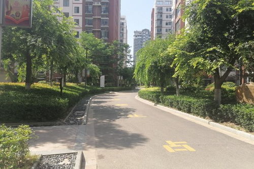 森泰御城的房子怎么样