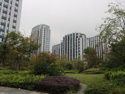 武林外滩二手房